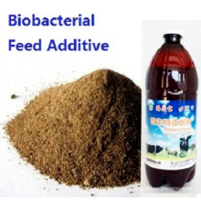 Nutrientes orgánicos biobacterianos de algas marinas utilizados para aditivos alimentarios